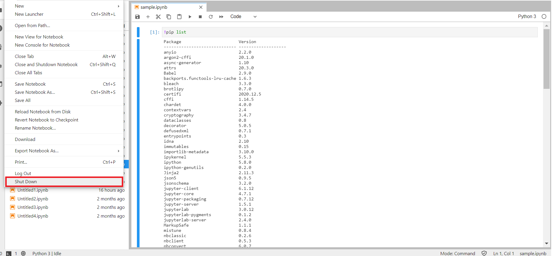 Jupyter Lab delete